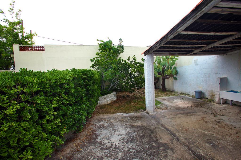 Paradise Patu Exterior photo